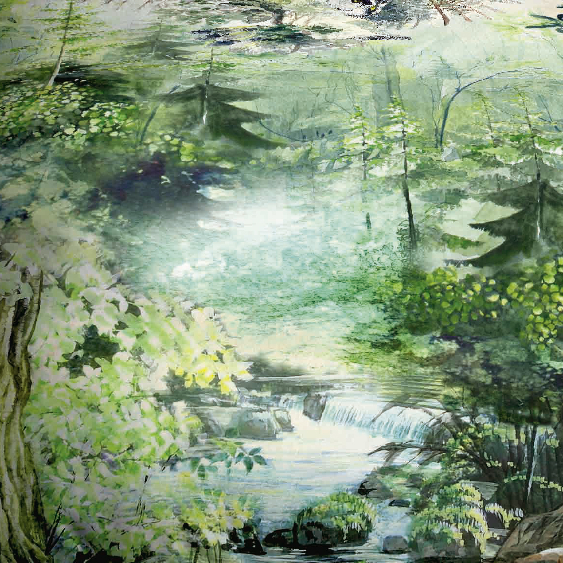  Bettwäsche Mystic Forest 2