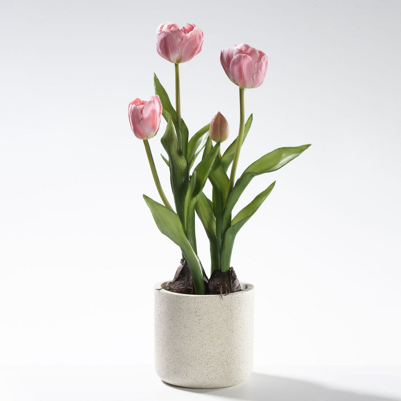  Kunst Tulpen im Topf  undefined