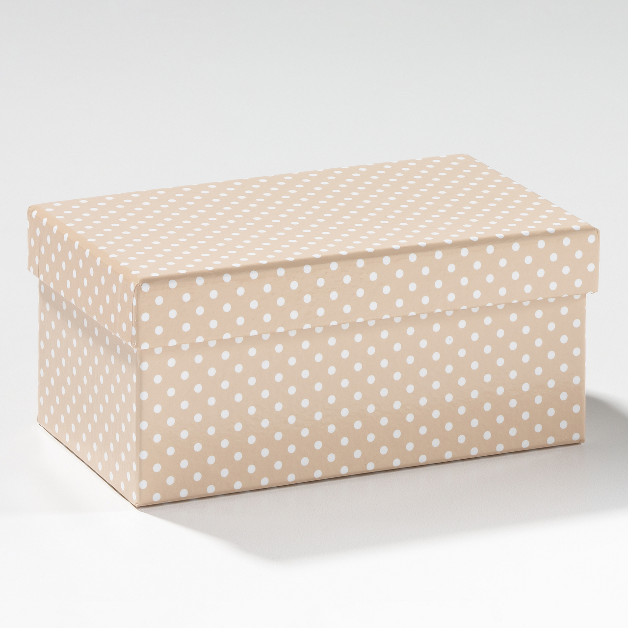  Kartonbox rechteckig 