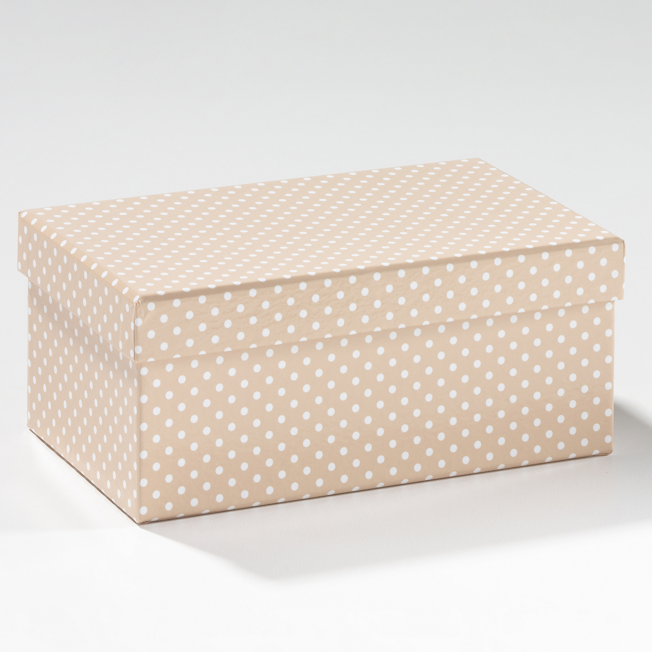  Kartonbox rechteckig 