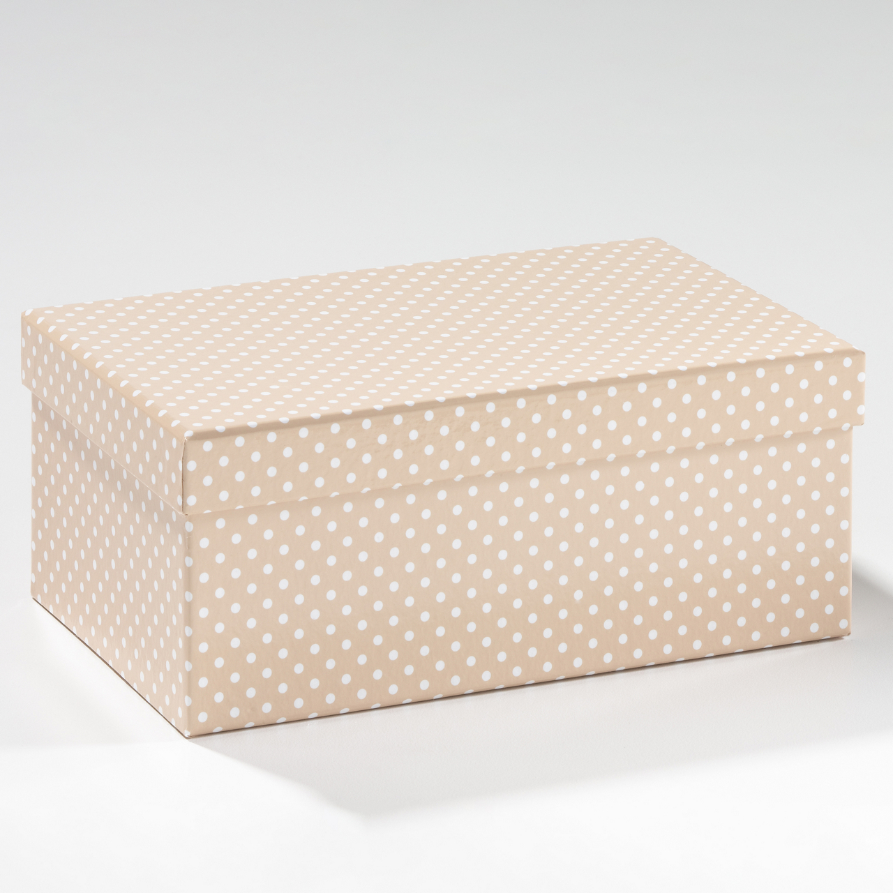  Kartonbox rechteckig 