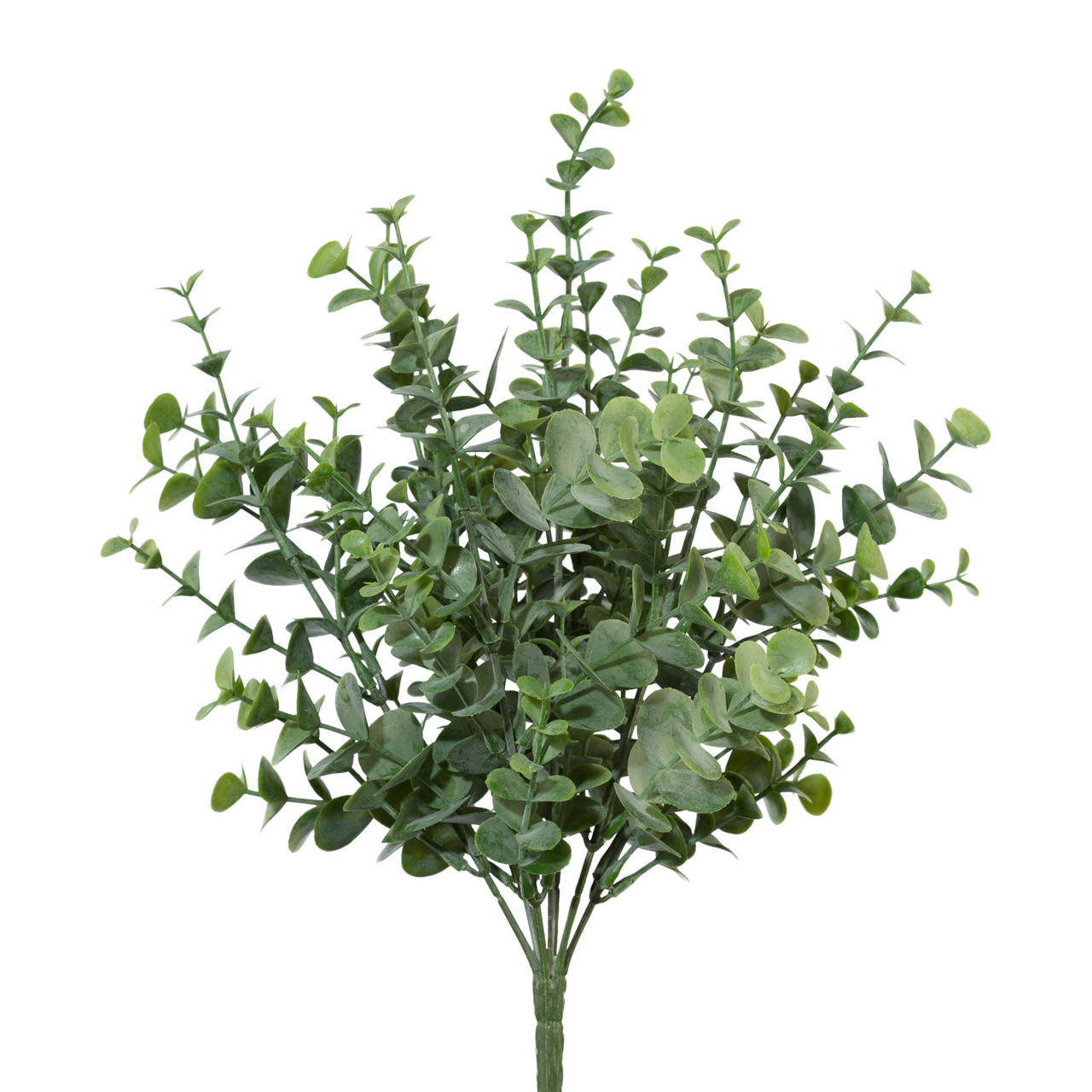  Eukalypthusbusch 