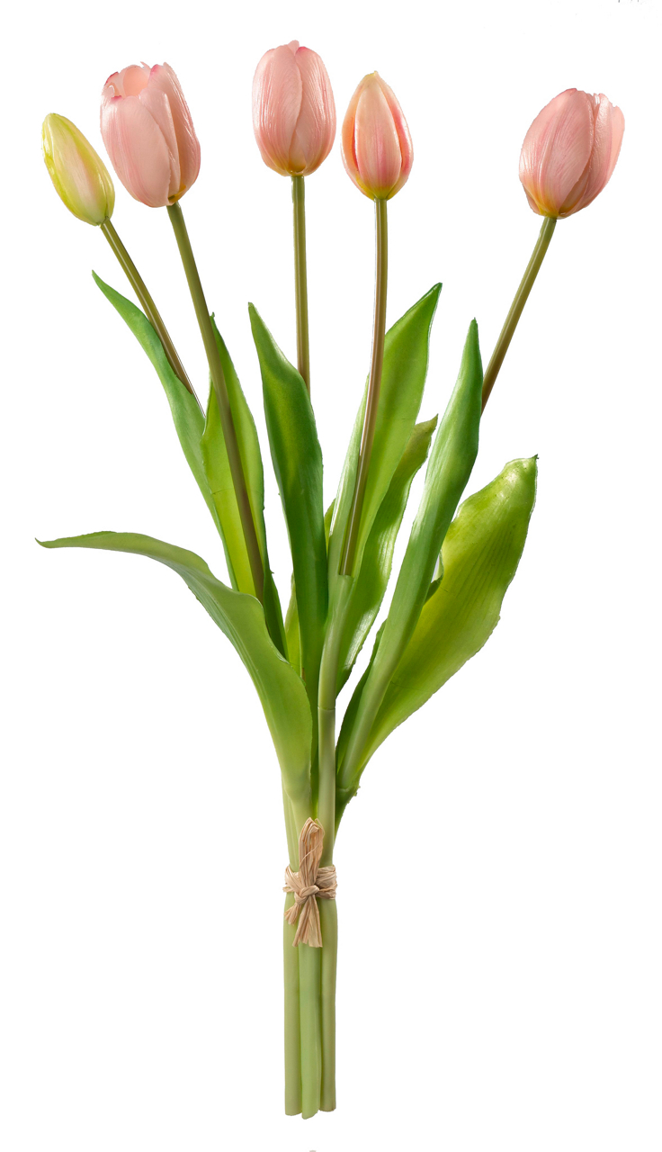  Kunst-Tulpenbund -
