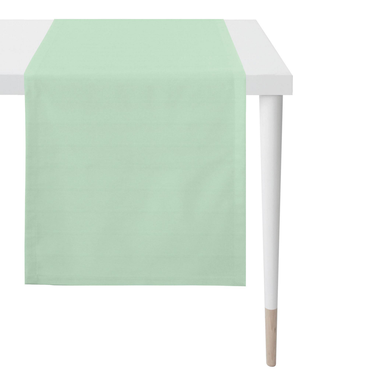salbei / mint