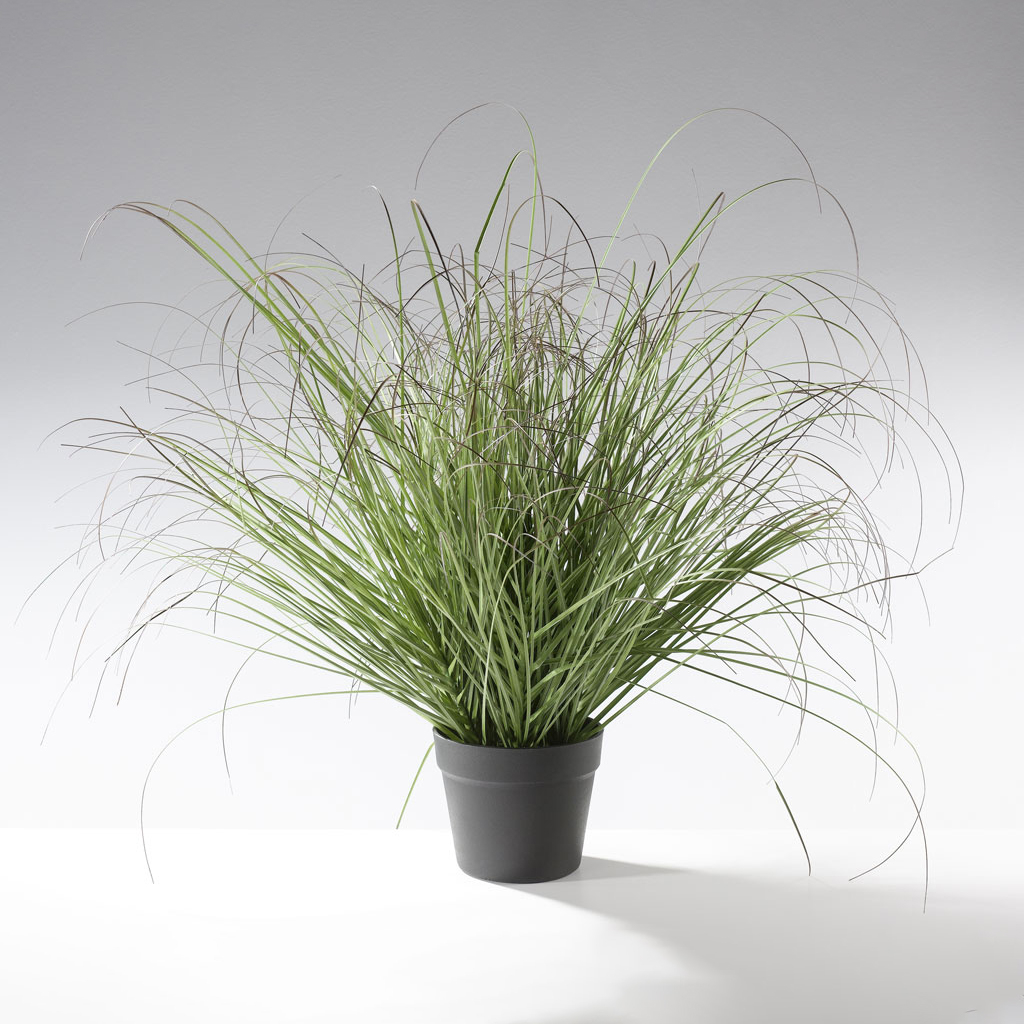  Kunstpflanze Oniongras 